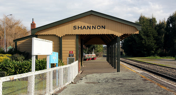 Shannon, Horowhenua, NZ - 7 August 2013